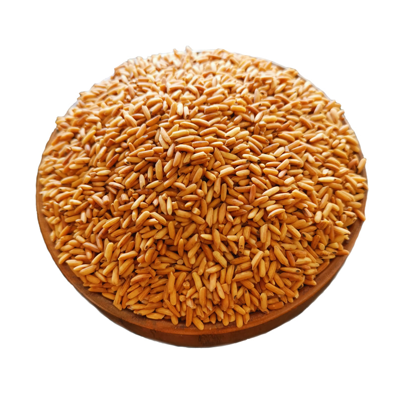 黑龙金谷香炒大米湖北特产焦米茶钟祥米茶糙米茶熟荆门曲玄米泡水代餐