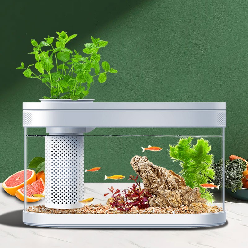 水族箱免换水客厅玄关智能创意桌面办公室懒人亚克力小型生态鱼缸家用