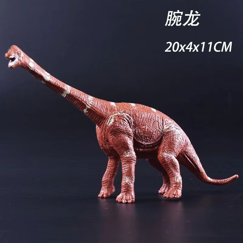野生仿真动物玩具男女孩早教认识恐龙模型摆件生日礼物过家家 腕龙