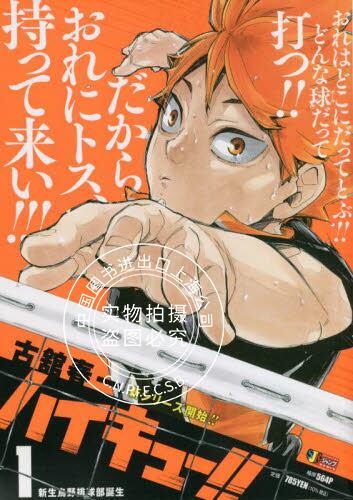 现货 进口日文 漫画 排球少年 1 新生乌野排球部诞生 古馆春一 ハイキ