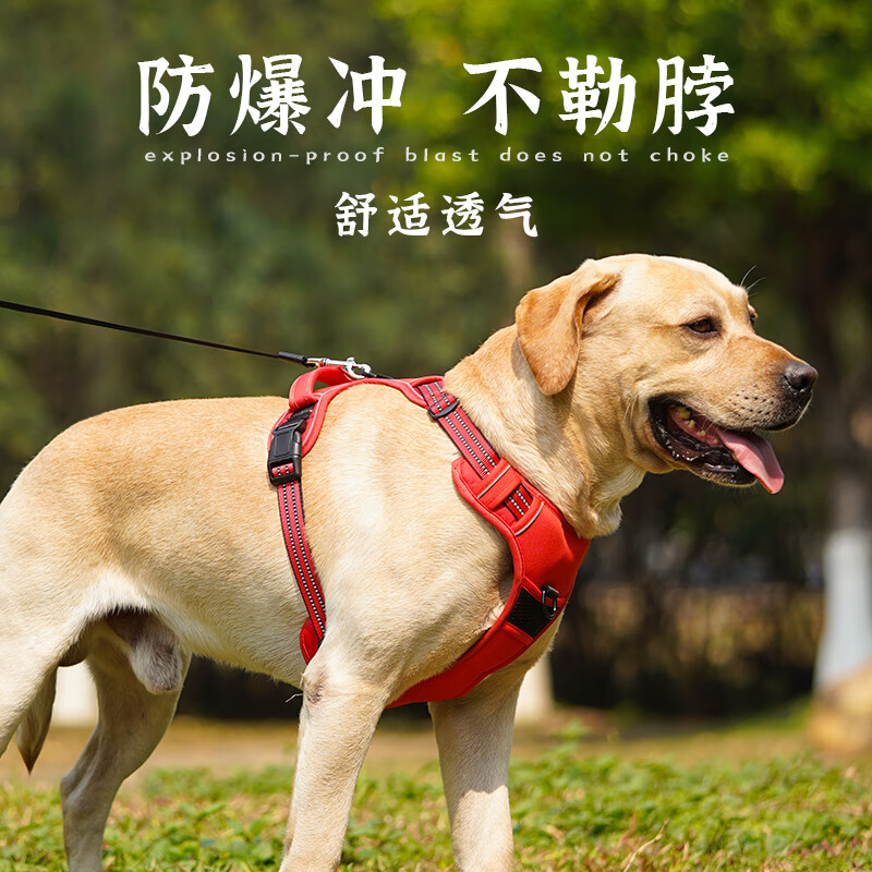 xcho狗狗胸背带 工字型胸背狗背带牵引绳背心式金毛边牧中大型犬反光