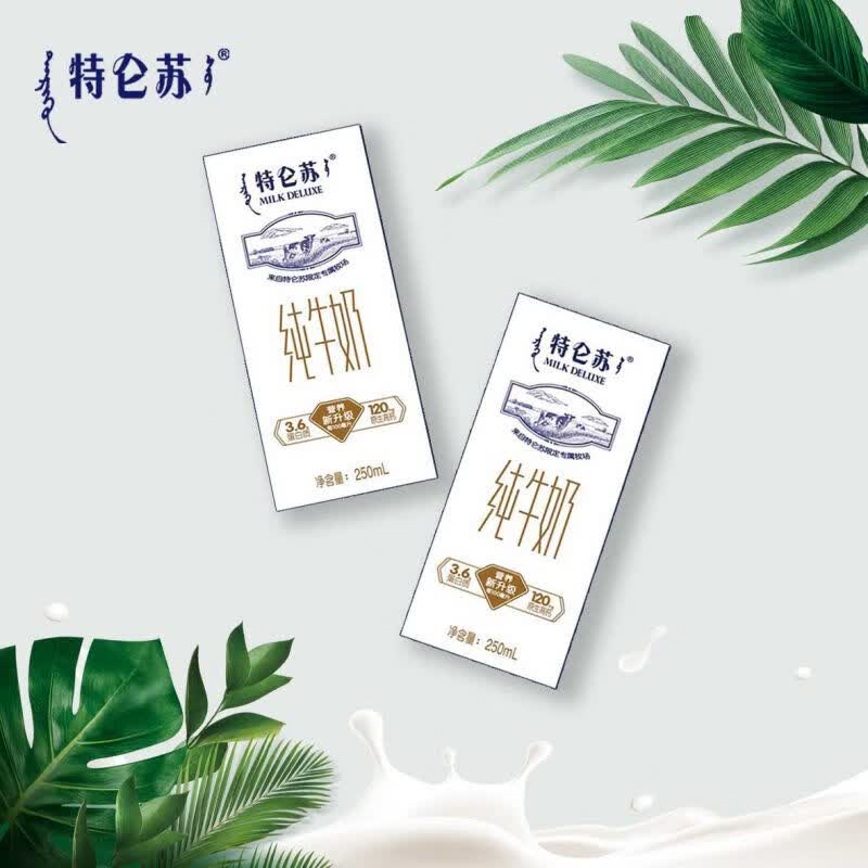 蒙牛10月份蒙牛特仑苏纯牛奶250mL×12盒整箱全脂早餐送礼 一提装 250ml属于什么档次？