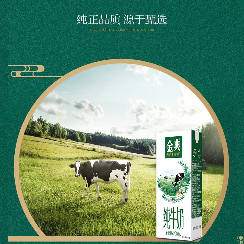 250ml*12/24盒整箱批发营养早餐高钙低脂牛奶 1月产金典纯牛奶24盒