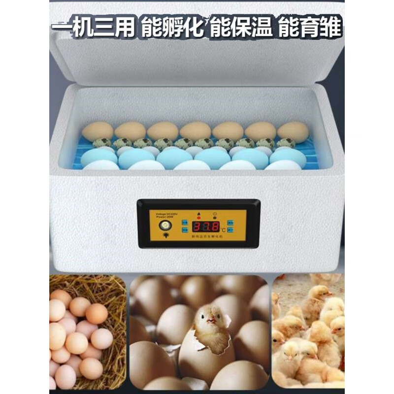 clcey鸡蛋浮鸡箱家用小型孵化机自动小鸡孵化设备卵化机器电热工具 10