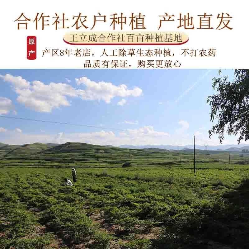 王立成当归500克袋装 全当归中药材 甘肃岷县特级当归无硫可打粉