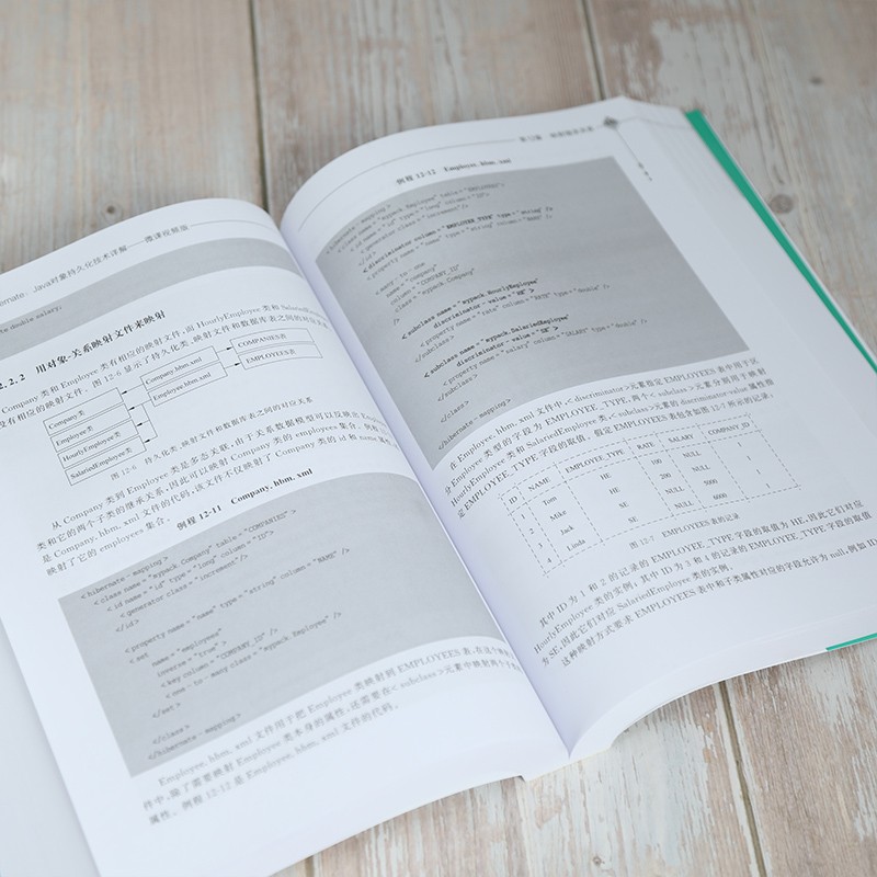 精通JPA与Hibernate：Java对象持久化技术详解—微课视频版