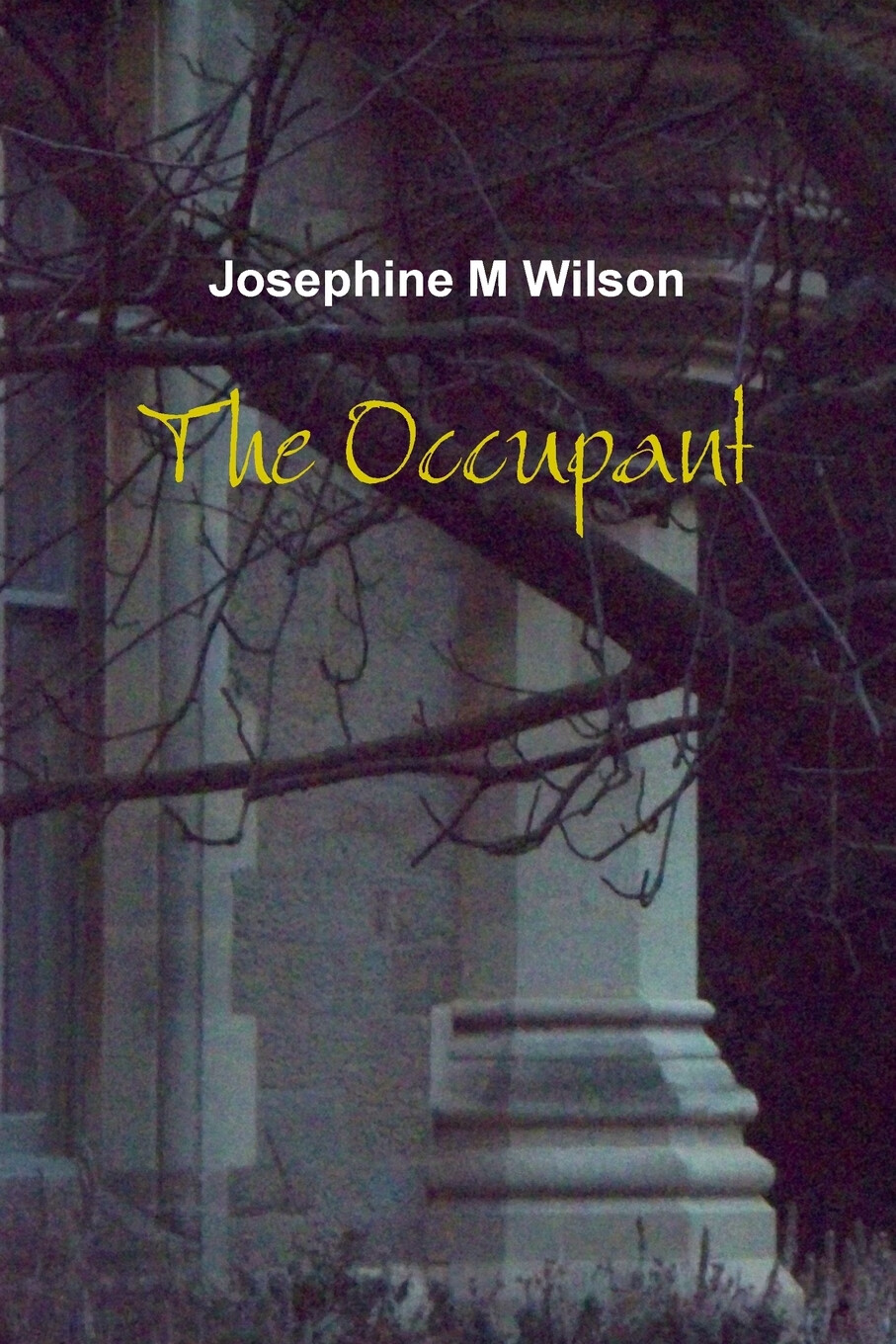 【预售 按需印刷】the occupant