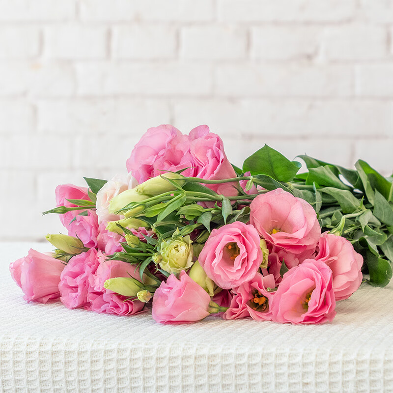 基地直发真花家庭插瓶水养装饰客厅卧室花束配花 粉色洋桔梗(15-20朵)