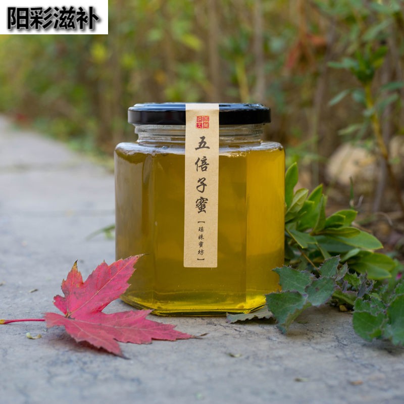 伟博五倍子蜂蜜深山药材蜂蜜秋冬蜜蜂农自产自销天然成熟纯正原蜜