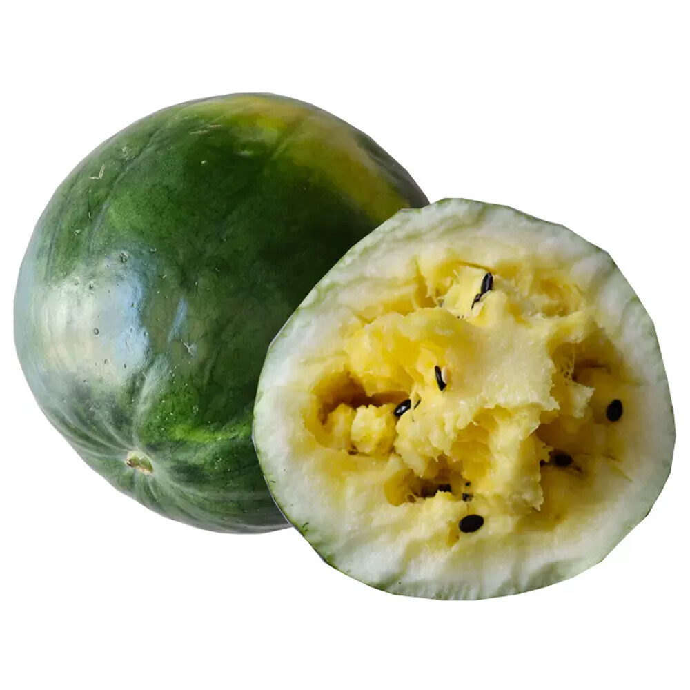 大打瓜敖汉黄壤打瓜2024年打瓜籽瓜水果7-8.5斤1个瓜赤峰打瓜