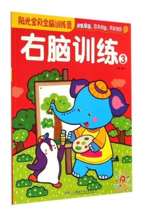右脑训练【正版图书,放心购买】