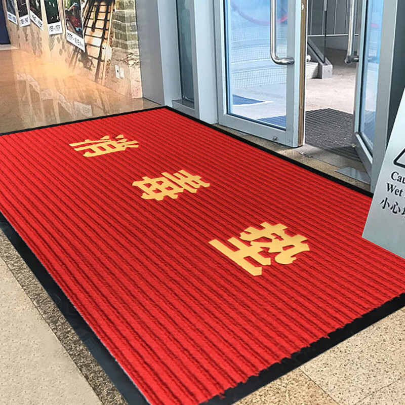 懿儱佩防滑进门地垫消毒垫幼儿园学校医院酒店入门口商用双条纹脚垫