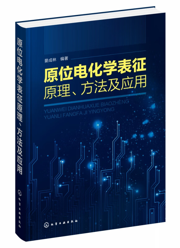 原位电化学表征原理方法及应用(精)