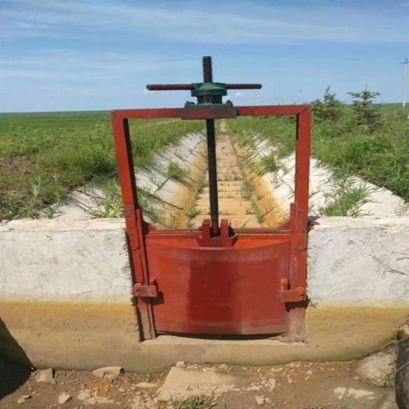 适之启闭机铸铁闸门一体式钢制不锈钢渠道水库液压电动水闸门起闭 30*