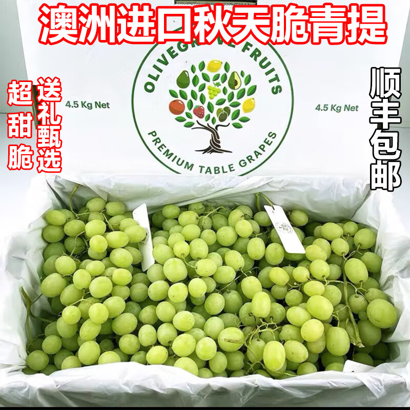 甜野里澳大利亚进秋天脆甜地球秋天酥无籽青提葡萄新鲜水果提子超甜脆