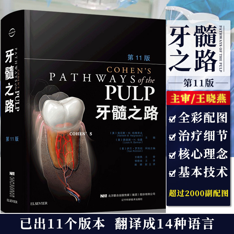 牙髓之路 第十一版 1版 牙体牙髓病学临床牙髓再生技术口腔书籍医学类专业书籍牙科牙髓治疗根管治疗图谱辽宁科学技术出版社