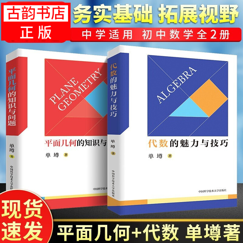 中科大初中数学代数的魅力与技巧+平面几何的知识与问题 单墫著 初一初二初三初中数学解题规律方法与技巧 中科大初中数学