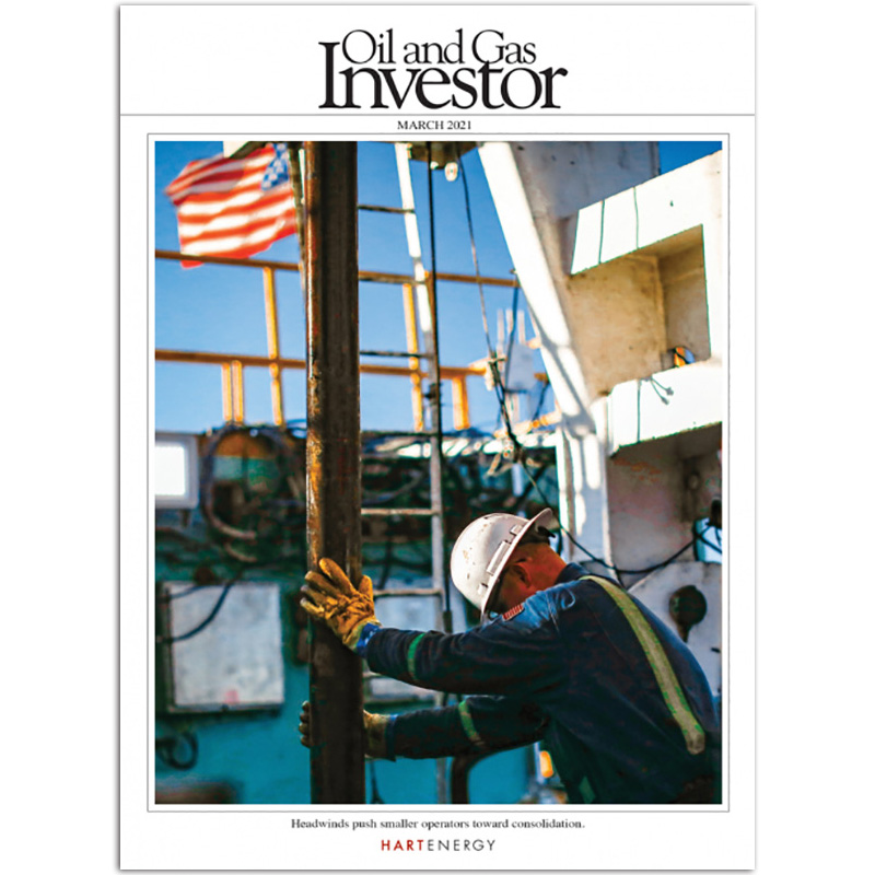 【单期可选】Oil and Gas Investor 英文石油与燃气投资者杂志 2020/21年月刊 2021年3月刊