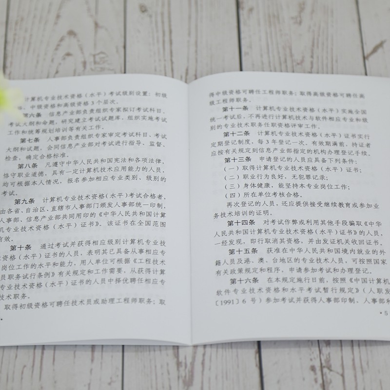 软考教程 软件评测师考试大纲（全国计算机技术与软件专业技术资格（水平）考试指定用书）详情图