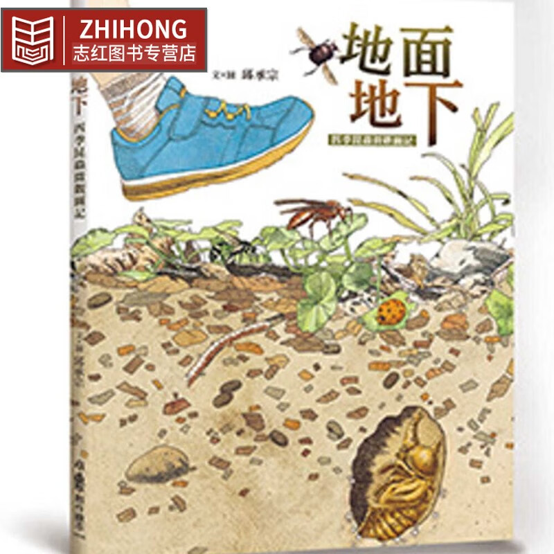 预售 邱承宗 地面地下：四季昆虫微观图记 小鲁文化