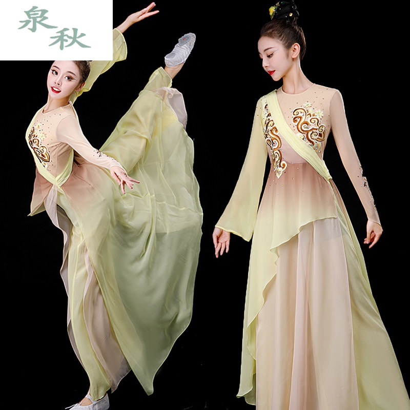 演出服成人古典舞寒依疏影舞蹈服装飘逸演出服女表演服装艺考定制