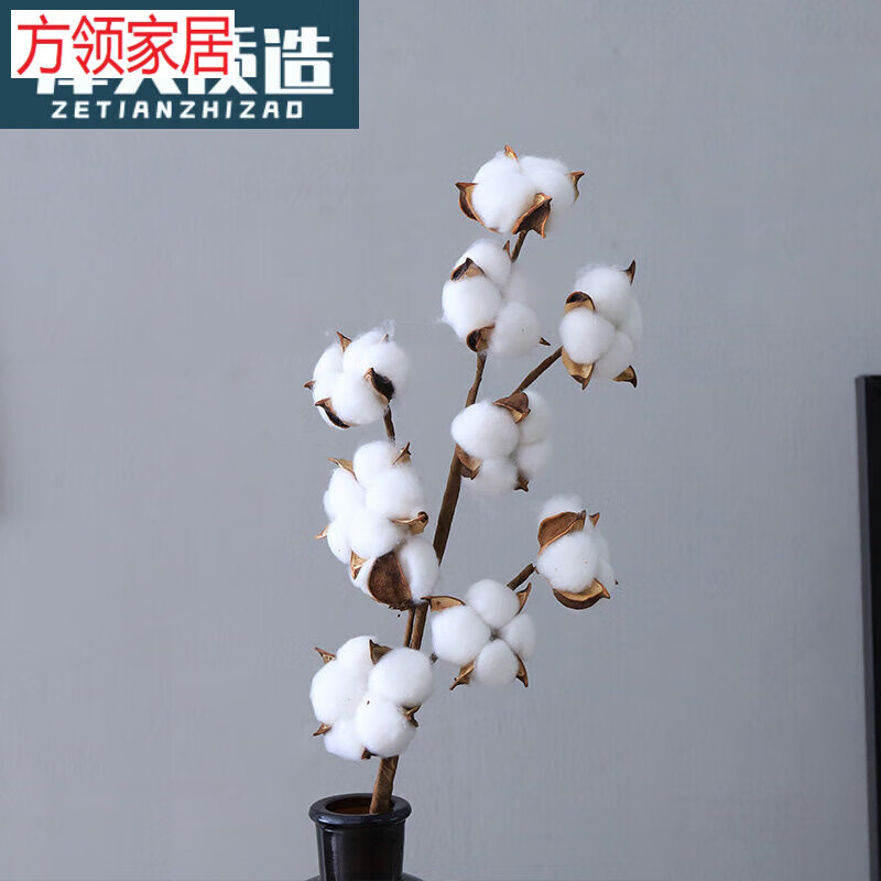 木棉花干花花束真花天然花束摆件桌面花语装饰摆设花艺用 10头棉花支