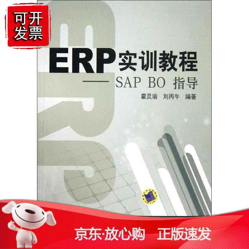 ERP实训教程——AP BO指导 机械工业出版社