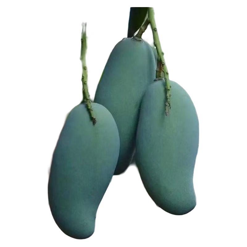 ڲ¼âɫﶫĴâӦŴȴˮ 3ﵥ3-421Ԫ