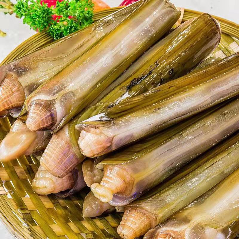 魃鲜 6-13只/斤  大蛏子王  海鲜竹蛏王 缢蛏圣子 新鲜水产  1斤装