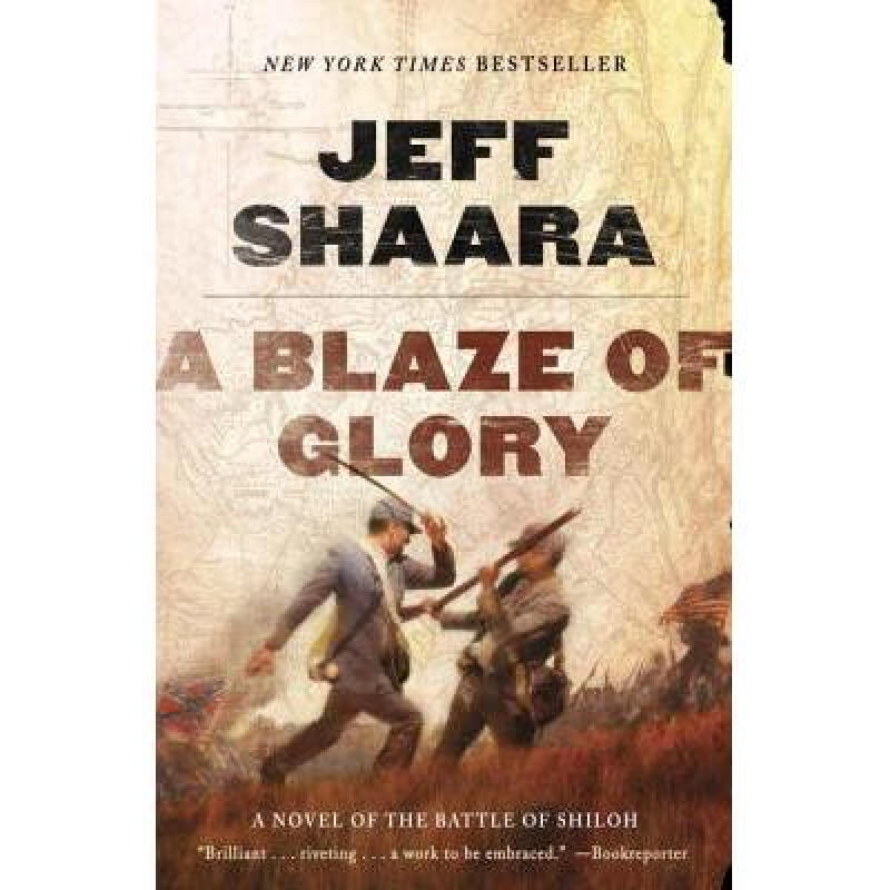 a blaze of glory: a novel of the battle of s. 英文原版 历史小说