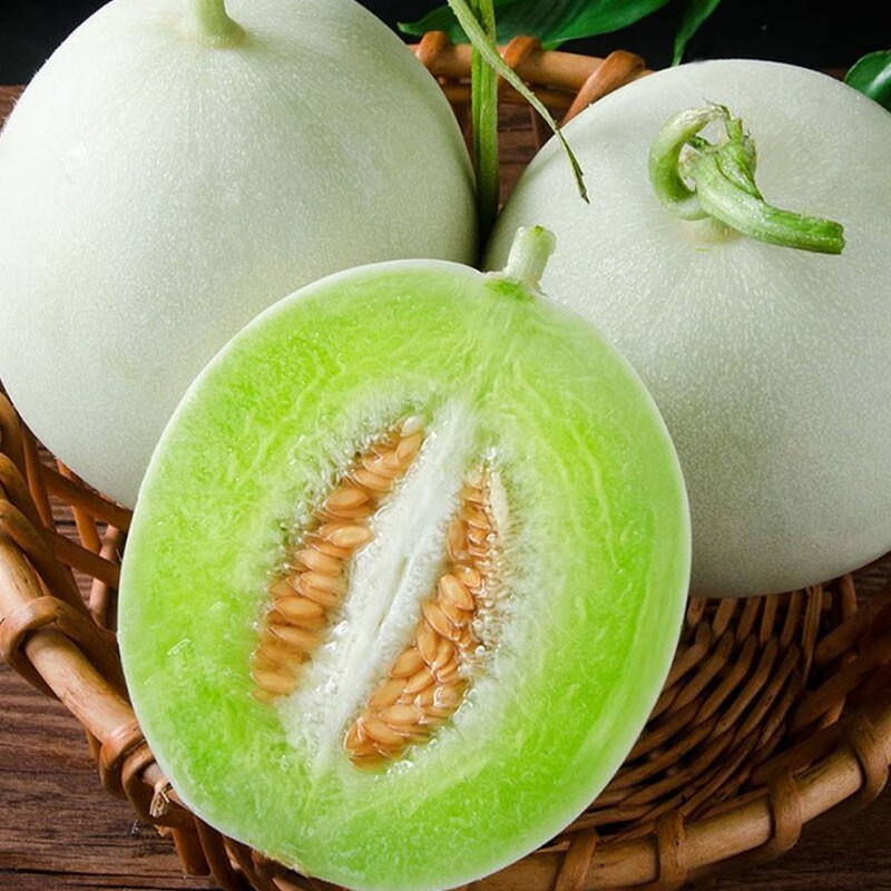 玢菓萱 新鲜上市玉菇甜瓜10斤新鲜水果当季整箱蜜瓜应季时令玉菇瓜果