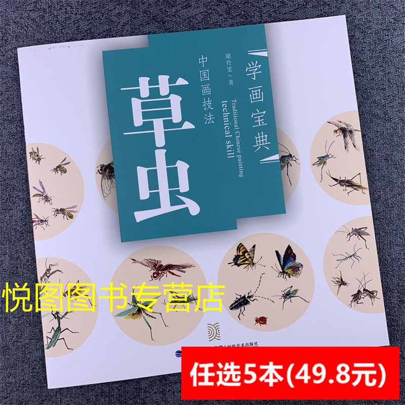 中国画技法：草虫 梁丹雯著 草虫的画法技法步骤解析作品构图临摹欣赏 国画入门基础教程 福建美术出版社 9787539324289