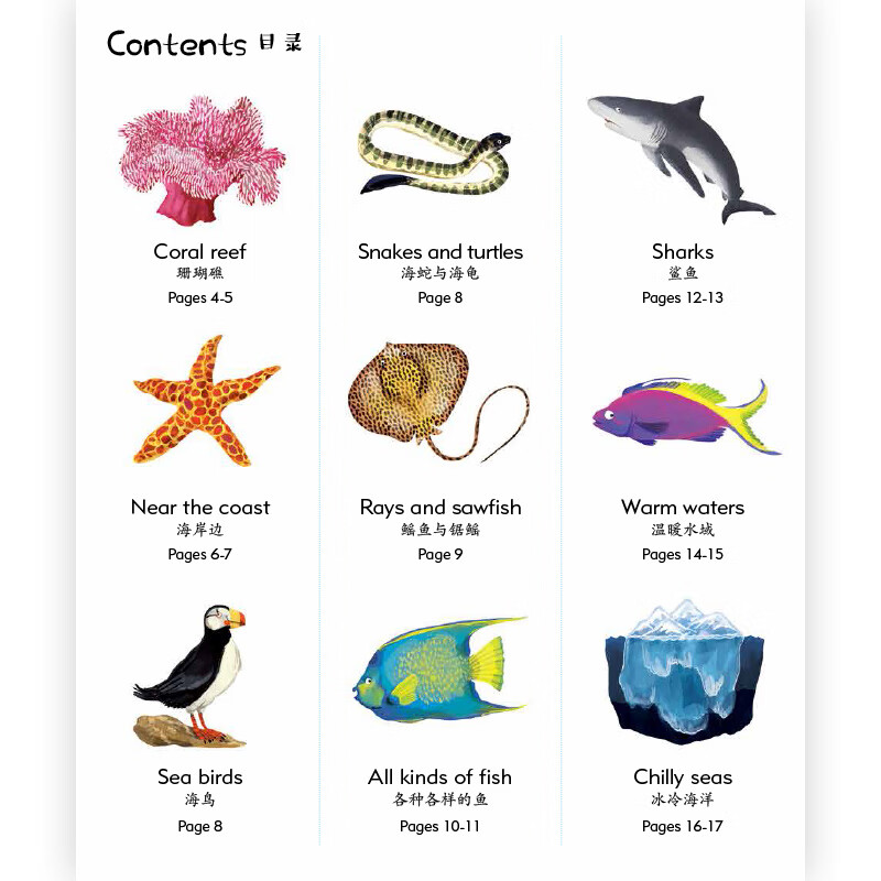 现货速发 正版 1000种海洋之物 1000种海洋动物英语单词  3-10岁儿童