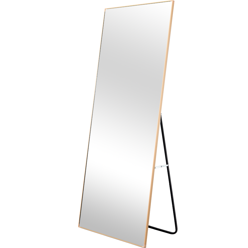 华恺之星 穿衣镜 落地镜全身镜可贴墙壁挂试衣镜子 铝合金窄框JY08-160*50cm金色