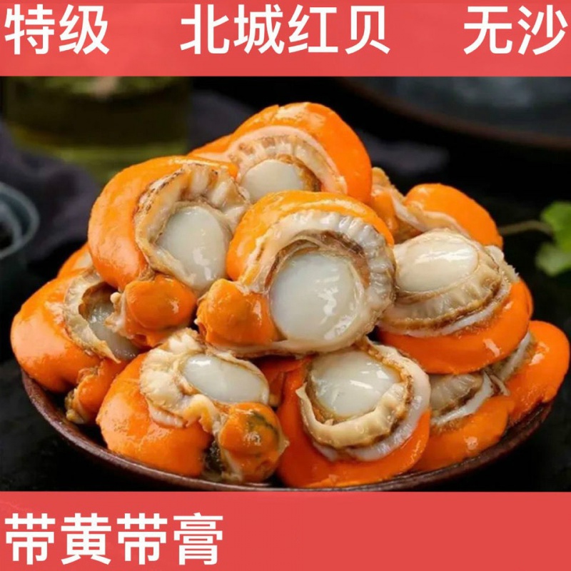 特大号扇贝肉新鲜冷冻扇贝贝类海鲜瑶柱海鲜水产批发红贝 锦蜜姬