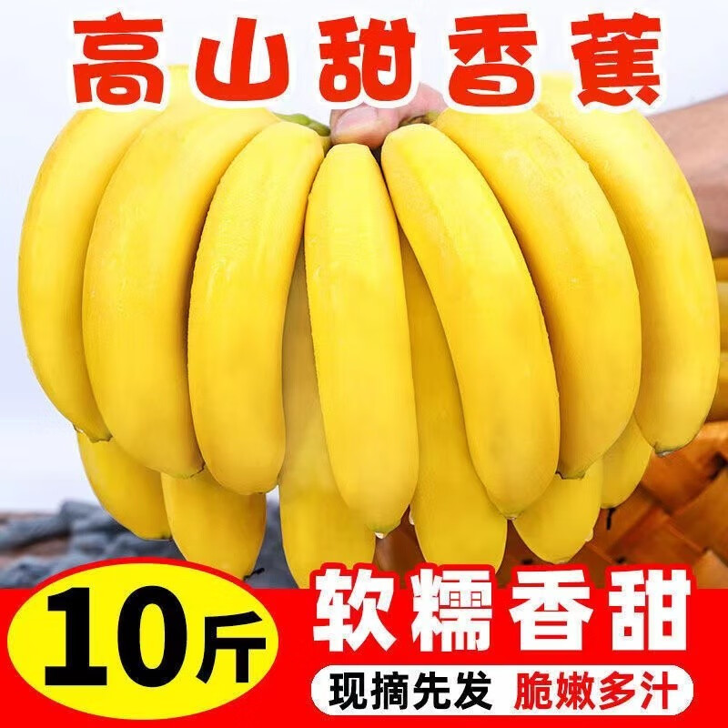 郡左农创云南香蕉 高山香蕉 自然熟甜香新鲜水果 精选9斤装