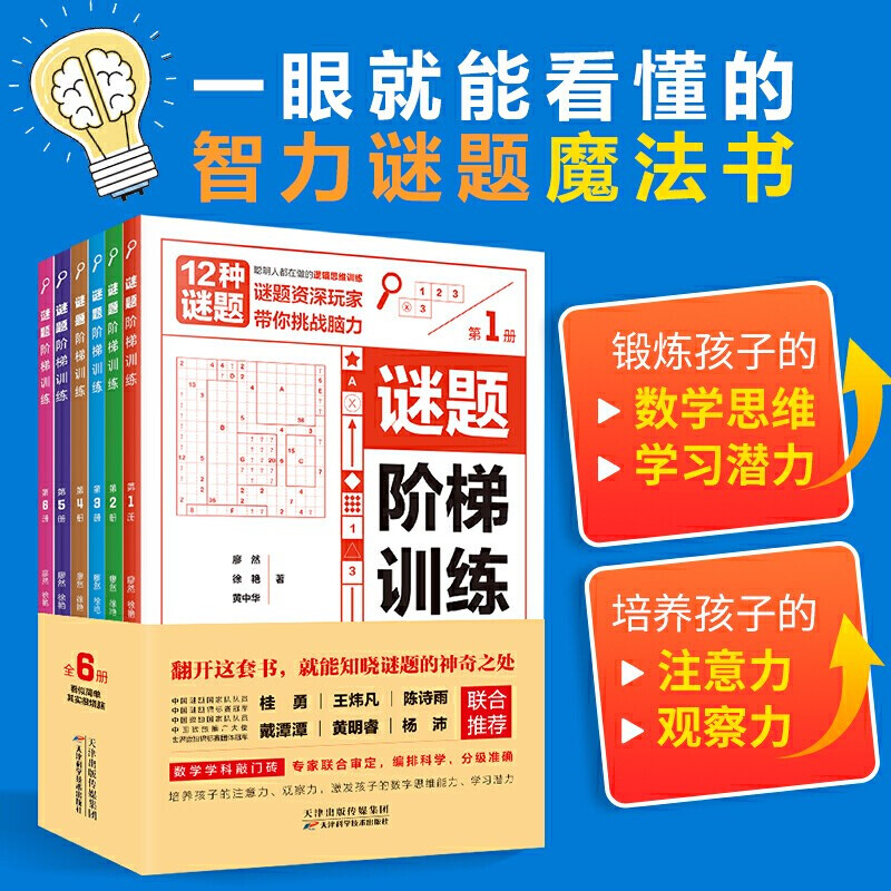 谜题阶梯训练（全6册） 7-14岁儿童手工制作 幼儿启蒙 智力开发 数学益智游戏 逻辑思维训练 京东折扣/优惠券