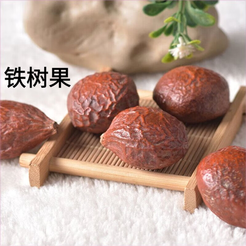 铁树果中药材500g 苏铁果 铁树籽 凤凰蛋 铁树子特级无硫