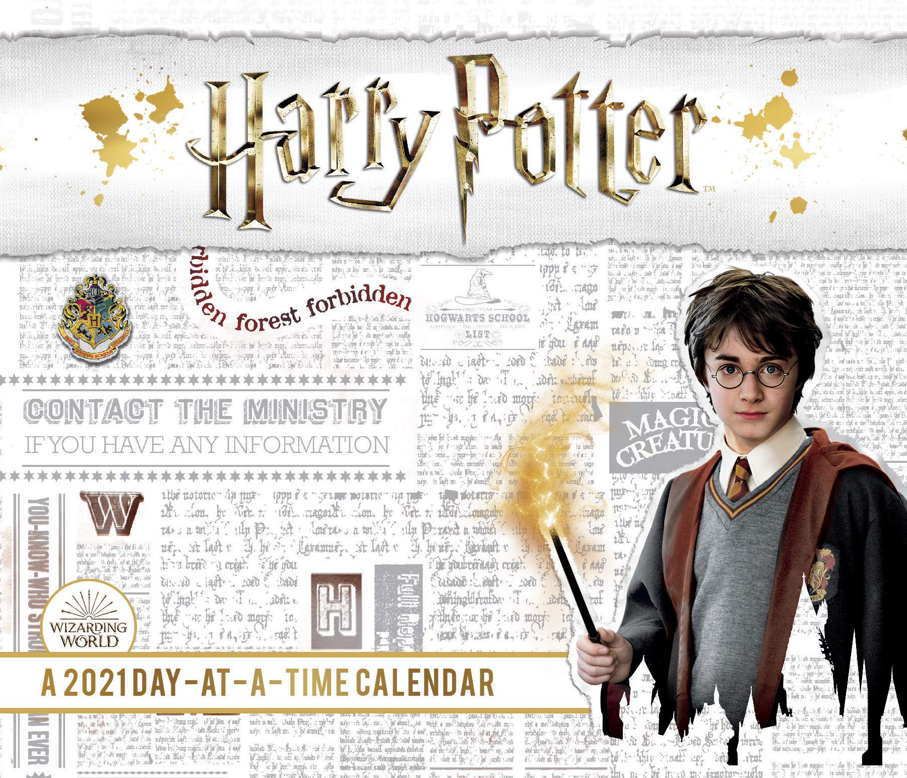 cal-2021 harry potter boxed 英文原版哈利波特每天