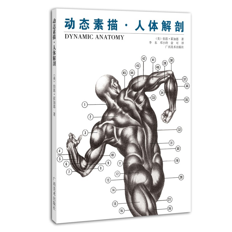 动态素描 人体解剖 伯恩霍加思 人体结构造型手绘技法 人体造型的艺用