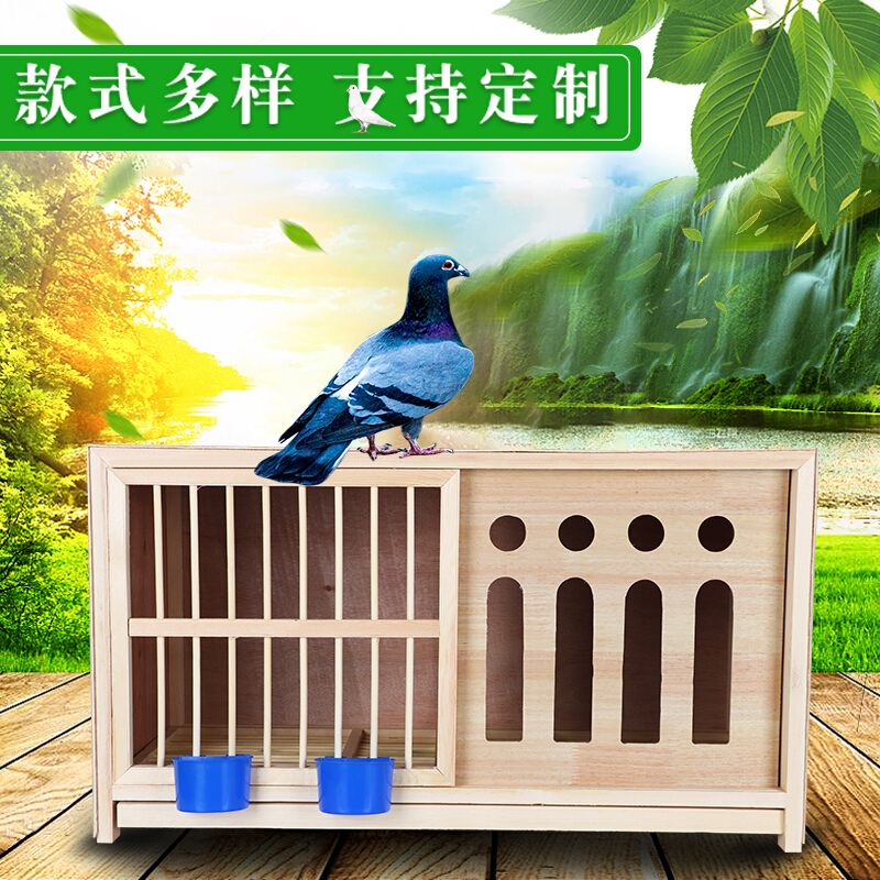鸽具巢箱鸽子巢箱信鸽配对笼赛鸽巢箱鸽子繁殖笼鸽子用品 白色 精品上
