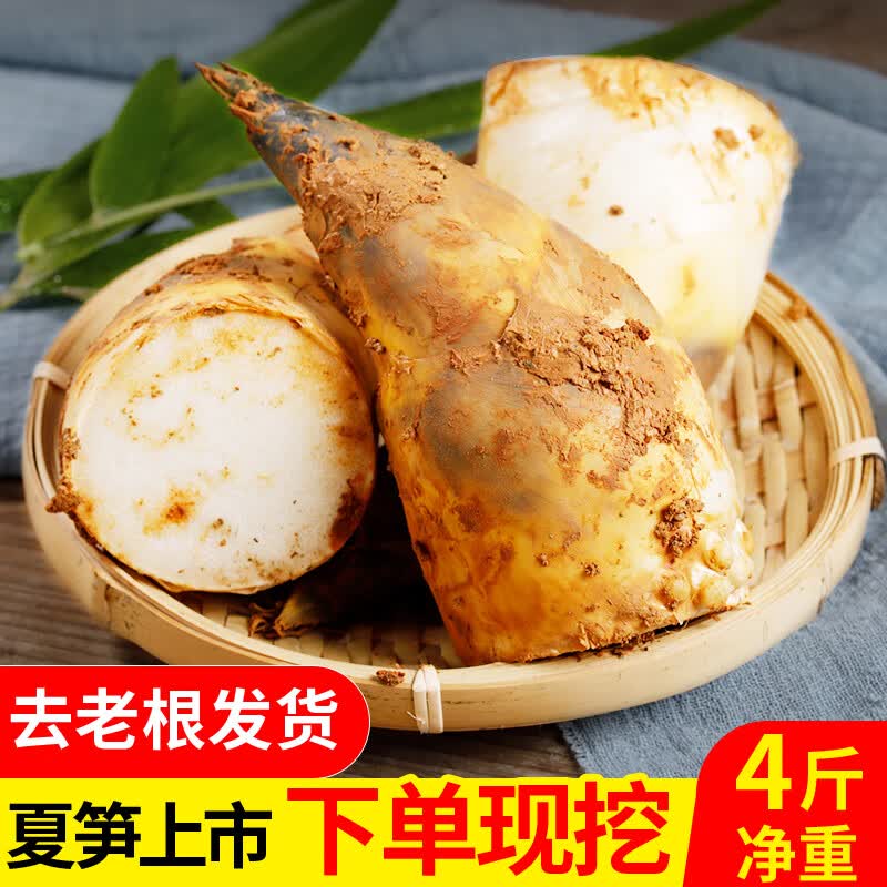 果真秀马蹄笋新鲜福建绿春夏鲜笋现挖脆嫩笋尖甜笋时令蔬菜 2kg