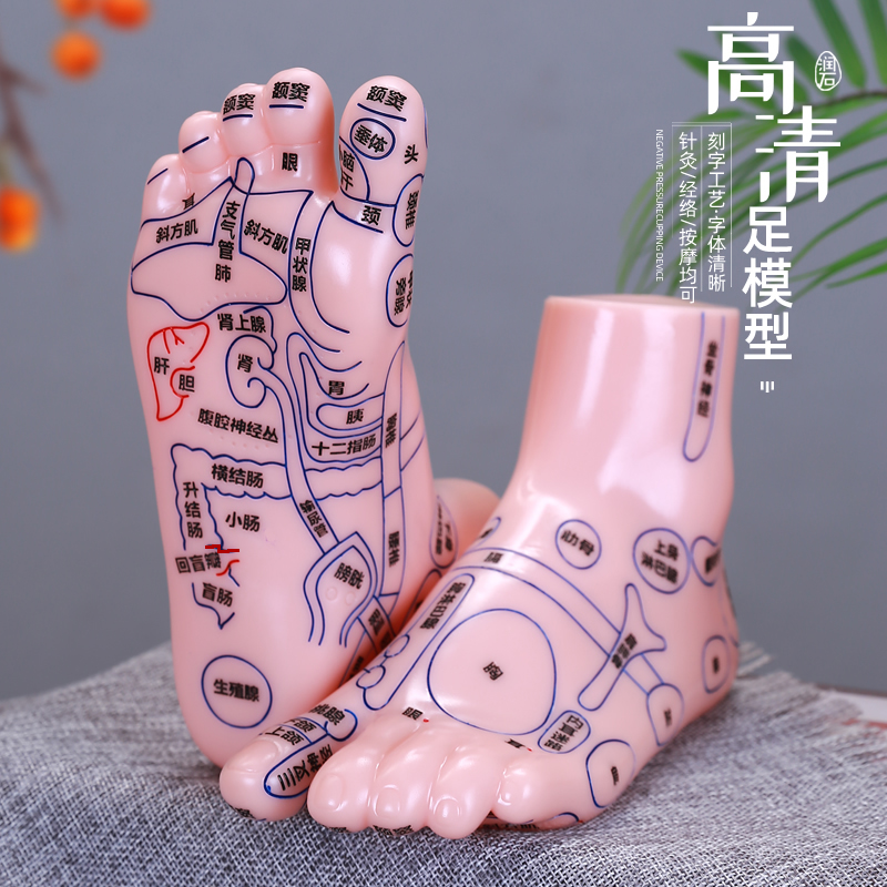 足部穴位模型高清足底穴位反射区按摩器足疗点穴棒脚推