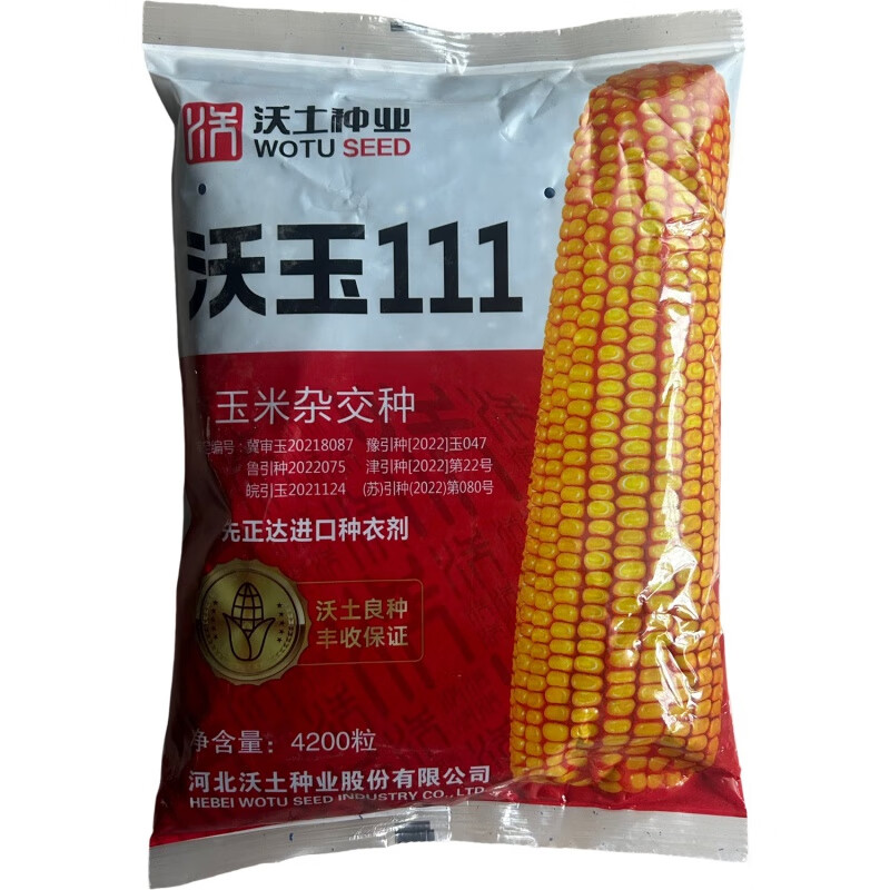 禾之润沃玉111玉米种子原装丰产稳产耐高温抗病抗倒红轴大棒玉米种 原