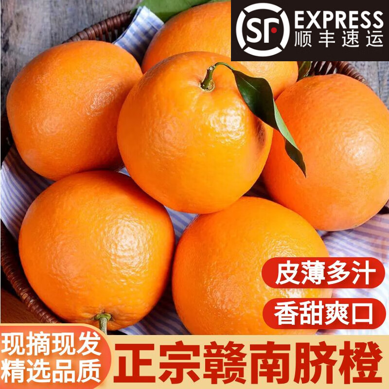 橙子历史价格网站|橙子价格历史