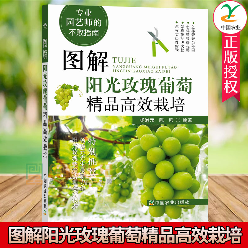 图解阳光玫瑰葡萄精品高效栽培 新理念新技术书 青提晴王阳光玫瑰葡萄树园管理施肥浇水售卖 杨治元专业园
