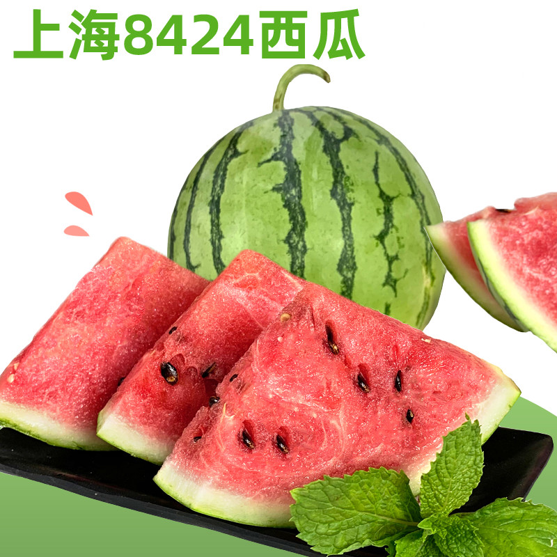 十里馋上海8424西瓜2个装11-12斤 麒麟西瓜 当季新鲜水果红心西瓜