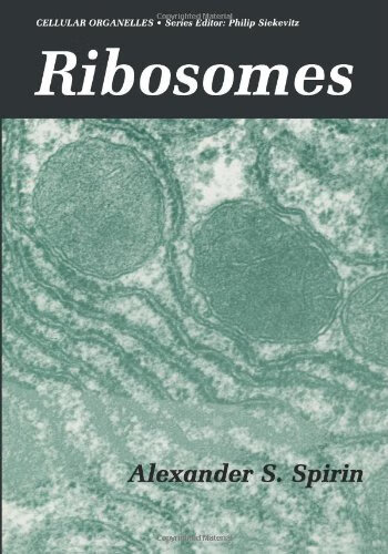 预订 ribosomes