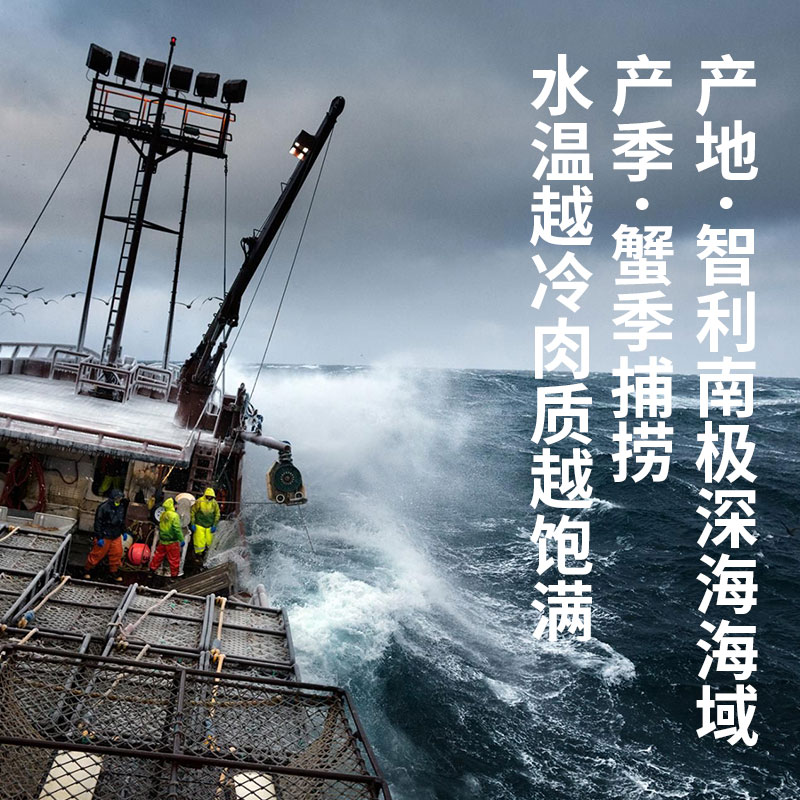 鲜生说智利帝王蟹礼盒熟冻帝王蟹帝皇蟹大蟹钳蟹腿进口生鲜螃蟹中秋礼盒 3.2~3.6斤今年新货(全国顺丰发货)