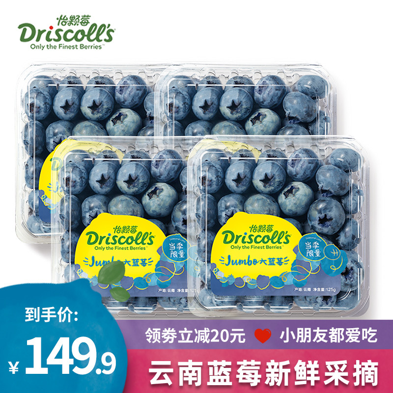 Driscoll's 怡颗莓 云南蓝莓 新鲜水果 生鲜水果   约125g/盒 当季限量大果4盒